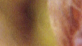 Jan Broom perdió a su hija en un accidente, ahora por fin encuentra consuelo.