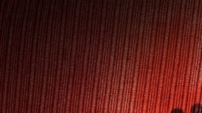 Madre vendía a su hijo por Internet