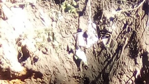 Fosas clandestinas en Nayarit./ Agencia Reforma