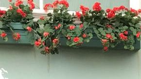 Elenco de la telenovela "Tenías que ser tú" de Televisa