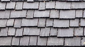 La unidad canina ayuda en la búsqueda y rescate de los damnificados.