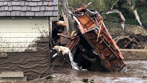 La unidad canina ayuda en la búsqueda y rescate de los damnificados.