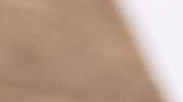 Los formularios W4 se actualizarán en 2018./Shutterstock