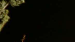 Las mujeres tienden a involucrarse más en las relaciones.