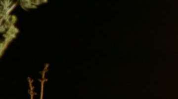 Las mujeres tienden a involucrarse más en las relaciones.