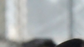 Estudiantes y padres se abrazan tras el tiroto ocurrido en la escuela intermedia Sal Castro de Westlake. (Aurelia Ventura/La Opinion)