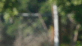 Con lágrimas en los ojos, una madre recoge a su hija después del tiroteo en la secundaria Sal Castro.