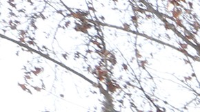 Una persona pone gasolina en Los Ángeles. (Aurelia Ventura/La Opinion)