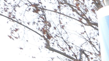 Una persona pone gasolina en Los Ángeles. (Aurelia Ventura/La Opinion)