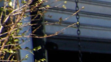 En un taller propiedad de alcalde Ramón Medina, las autoridades sacaron computadoras y cajas con documentos, uno de los cuales decía "2017 Maywood City Council agendas, minutes and related documents" (Agendas del Concilio, minutos y documentos relacionados).