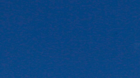 En febrero, este crítico cartel fue levantado a la entrada de Hollywood como perenne recordatorio.