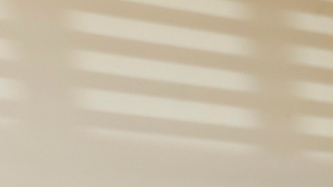 La abogada indocumentada Lizbeth Mateo muestra su título de leyes. (Aurelia Ventura/La Opinion)