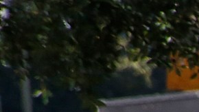 Si el Concejo aprueba los aumentos, los límites de velocidad se elevarían en algunas de las calles más conocidas de la zona, incluyendo el Bulevar San Vicent a través de Mid-Wilshire y tramos de los Bulevares Reseda, Victory y Chandler en el Valle de San Fernando. (Aurelia Ventura/La Opinion)