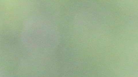 Defensora del Pueblo, Letitia James pide al Alcalde y los concejales que designen dinero para defender a los inmigrantes con asuntos legales.