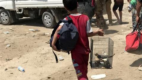 Preocupa a la ONU la situación de los niños en Mosul.
