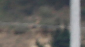 Violencia en México. EFE