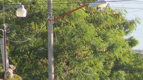 Ola de violencia en Guerrero.