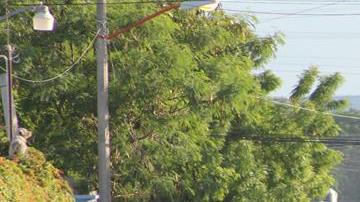 Ola de violencia en Guerrero.
