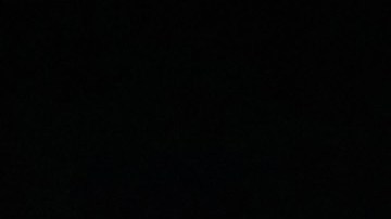 Los hispanos fueron detenidos por el color de su piel