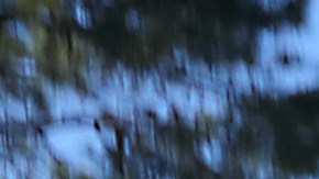 ICE arrests 86 in North Texas and Oklahoma areas during 3-day operation targeting criminal aliens and immigration fugitives.