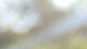 Agentes de ICE durante un operativo en Los Ángeles. (Suministrada por ICE)