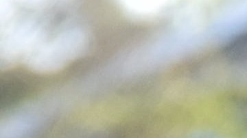 Agentes de ICE durante un operativo en Los Ángeles. (Suministrada por ICE)