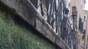 Así lucen las góndolas en Venecia. / EFE