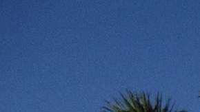 El alguacil suspendió a Peterson luego de ver un video que mostraba su actuación durante la masacre