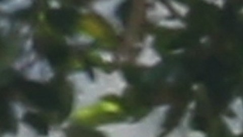 Justin y Selena se encuentran disfrutando del segundo capítulo de su romance.