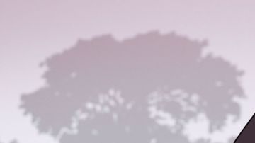 Falmata fue secuestrada y forzada a llevar a cabo un ataque suicida con un cinturón lleno de explosivos.