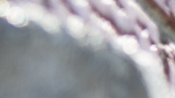 Se sabe que el 60% de los niños y jóvenes intimidadores terminan en la cárcel antes de cumplir los 24 años por crímenes o violencia doméstica.