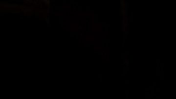 Canelo en las bodegas de Hennessy en Cognac, Francia.