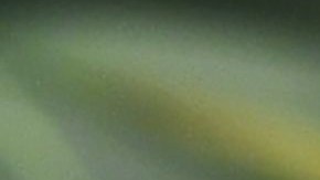 El 61% de los votantes aprueba la legalización de la marihuana, según una encuesta del Centro de Investigación Pew.