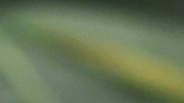 El 61% de los votantes aprueba la legalización de la marihuana, según una encuesta del Centro de Investigación Pew.