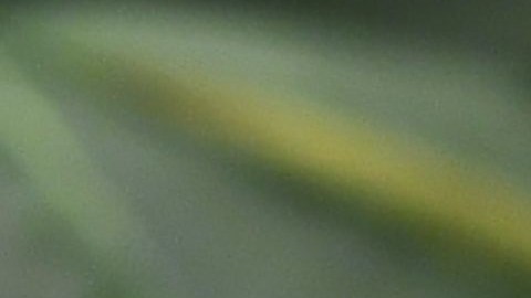 El 61% de los votantes aprueba la legalización de la marihuana, según una encuesta del Centro de Investigación Pew.
