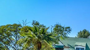 La residencia tiene 9 recámaras, 10 baños, una enorme piscina y elaborados jardines.