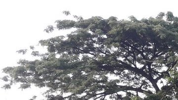 Accidente de tránsito en Ecuador.