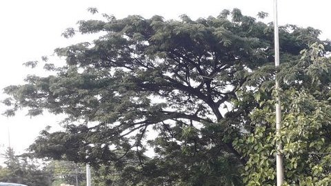Accidente de tránsito en Ecuador.