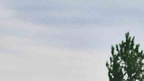 Los autos usados son siempre una buena opción.