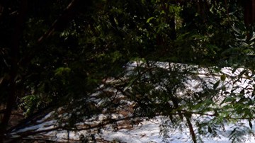 Violencia en Guerrero.
