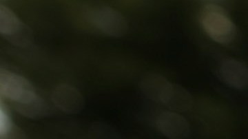 Reince Priebus fue despedido el pasado 28 de julio