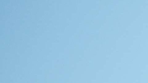 Se desconoce el procedimiento migratorio de los padres de la Primera Dama.