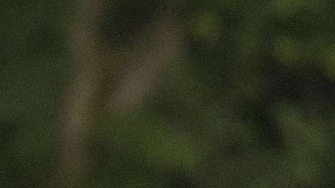 Los padres de Melania Trump estuvieron en la Casa Blanca para el cumpleaños del presidente. / FOTO: Chris Kleponis-Pool/Getty Images