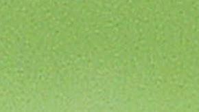 Trumps Return to the White House from Camp David