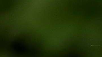 Jared Kushner, esposo de Ivanka Trump.