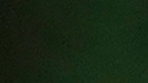 Scott Pruitt director del EPA, llamó "cabeza hueca" a Trump