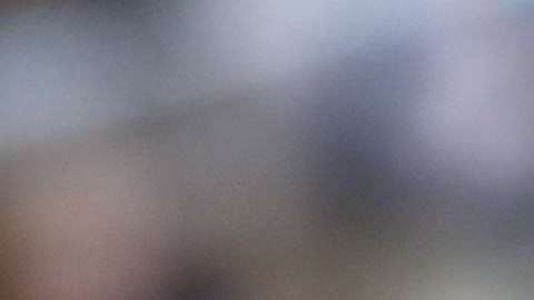 ¿Melania Trump obtuvo la ciudadanía por 'mérito propio' por su matrimonio?