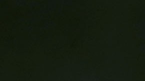 El apoyo de las mujeres a Trump cayó del 41% al 35%