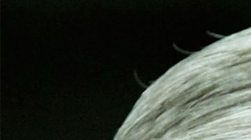 Investigan los contactos del yerno de Trump con empresarios chinos