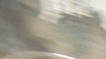 170 científicos políticos ranquearon el gobierno de Trump en el puesto 44